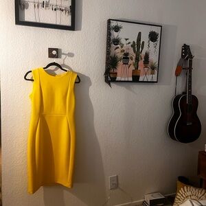 Princess Seam Sheath Dress